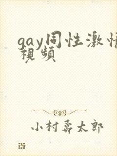 gay同性激情视频