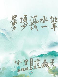 屋顶漏水做防水多少钱一平方