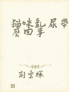 猫咪乱尿带血怎么回事