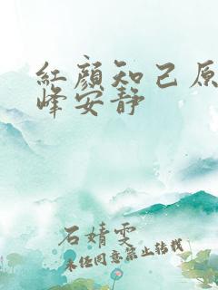 红颜知己原唱王峰安静