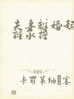 夫妻离婚起诉费谁承担