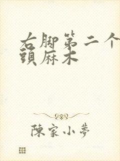 右脚第二个脚趾头麻木