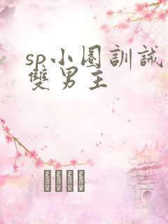 sp小圈训诫文双男主