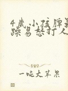 4岁小孩脾气暴躁易怒打人