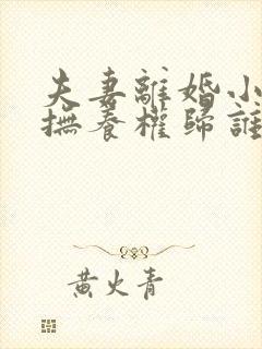 夫妻离婚小孩的抚养权归谁