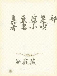 臭豆腐是哪里的著名小吃