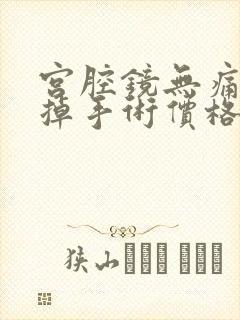 宫腔镜无痛 打掉手术价格