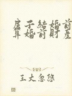 房子结婚前买的算婚前财产吗