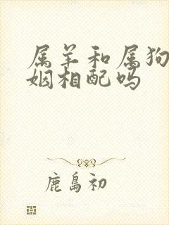 属羊和属狗的婚姻相配吗