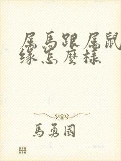 属马跟属鼠的姻缘怎么样