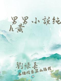 男男小说纯肉高h黄