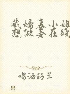 藏娇表小姐她不想做妾在线阅读