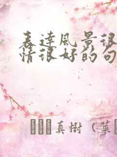 表达风景很美心情很好的句子