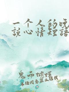 一个人的晚上说说心情短语