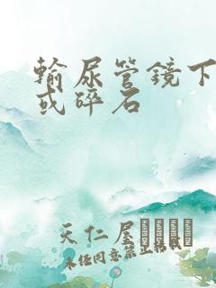 输尿管镜下取石或碎石