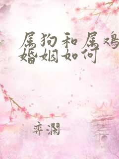 属狗和属鸡相配婚姻如何