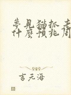 梦见猫抓老鼠是什么预兆周公解梦