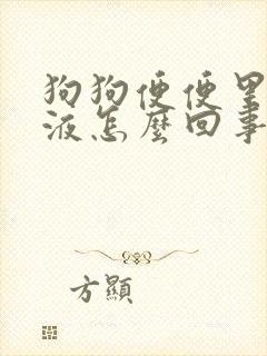 狗狗便便里有粘液怎么回事