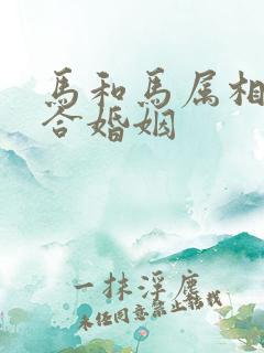 马和马属相合不合婚姻