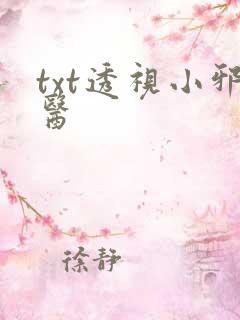 txt透视小邪医