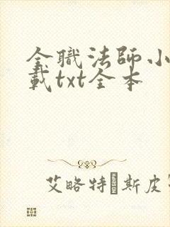 全职法师小说下载txt全本