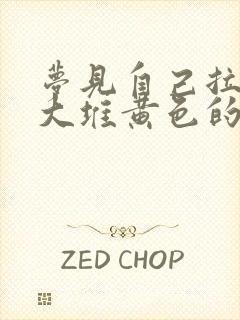 梦见自己拉了一大堆黄色的屎