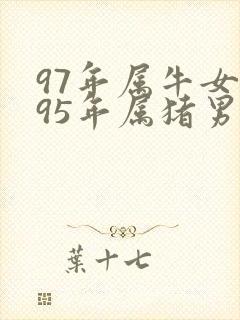 97年属牛女与95年属猪男婚姻怎样