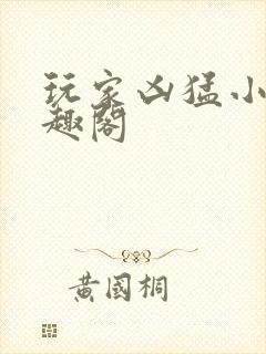 玩家凶猛小说笔趣阁