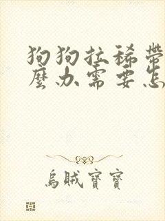 狗狗拉稀带血怎么办需要怎么治疗