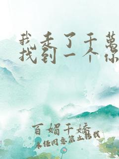 我走了千万里才找到一个你什么歌