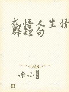 感悟人生情感精辟短句