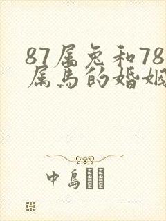 87属兔和78属马的婚姻如何