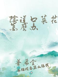 阴道口菜花状尤怎么办