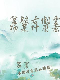 盆腔右侧囊性肿物是什么意思