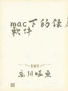 mac下的录屏软件