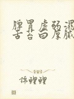 脾胃虚弱湿气重舌苔白厚腻