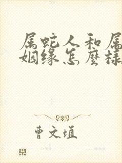 属蛇人和属马人姻缘怎么样