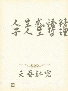 人生感悟精辟句子人生哲理