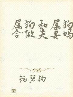 属狗和属狗的适合做夫妻吗