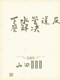 下水管道反味怎么解决