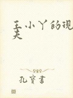 王小丫的现任丈夫