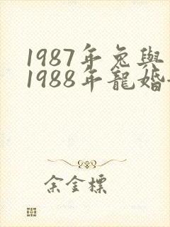 1987年兔与1988年龙婚姻是否相配