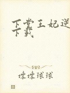 下堂王妃逆袭记下载