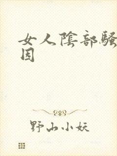 女人阴部骚痒原因