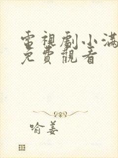 电视剧小满人家免费观看