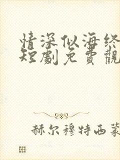 情深似海终成空短剧免费观看大结局