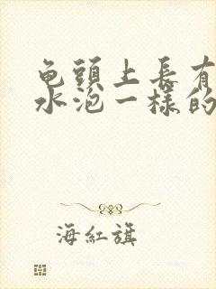 龟头上长有类似水泡一样的