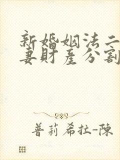 新婚姻法二婚夫妻财产分割