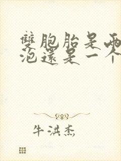 双胞胎是两个卵泡还是一个卵泡