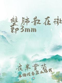 双肺散在微小结节3mm